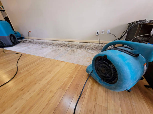 Professional Water Damage Repair technician working in Hungerford, TX